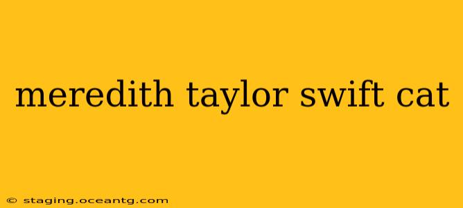 meredith taylor swift cat
