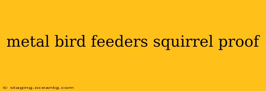 metal bird feeders squirrel proof