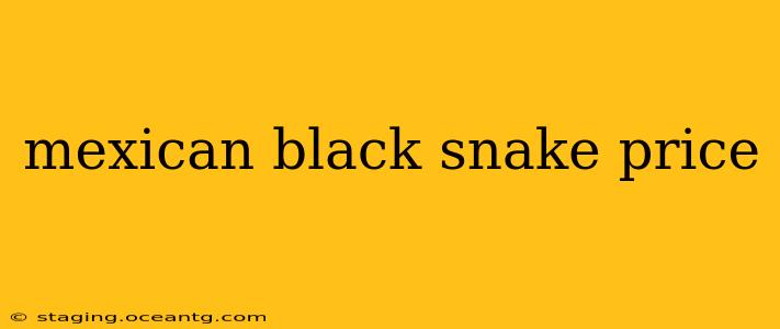 mexican black snake price
