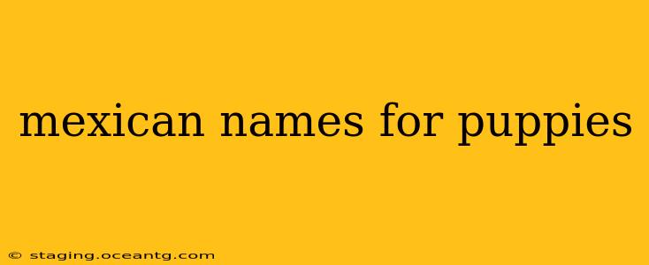 mexican names for puppies