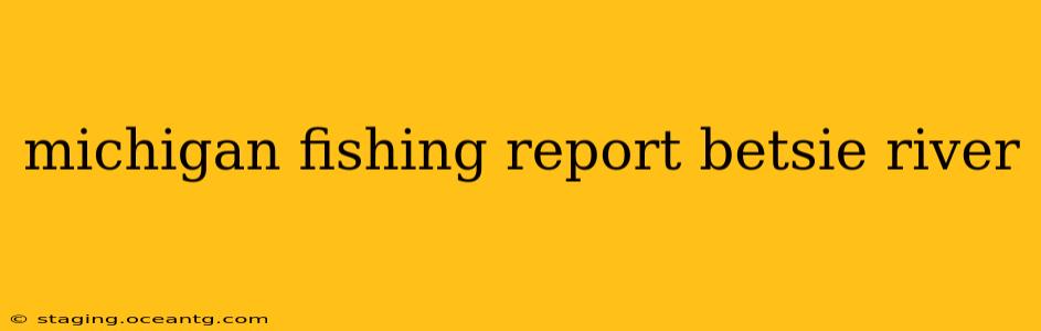 michigan fishing report betsie river