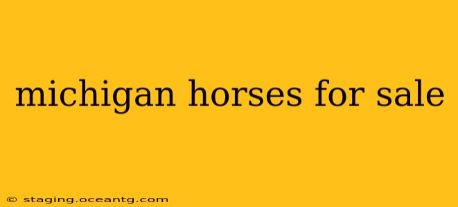 michigan horses for sale
