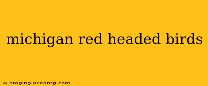 michigan red headed birds