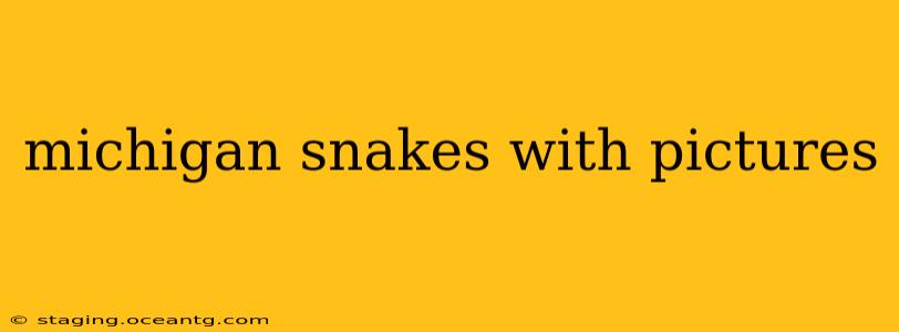 michigan snakes with pictures