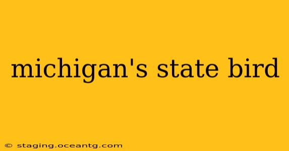 michigan's state bird