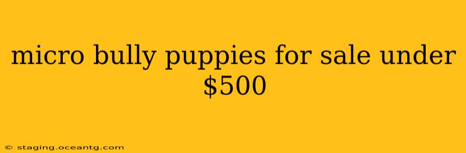 micro bully puppies for sale under $500