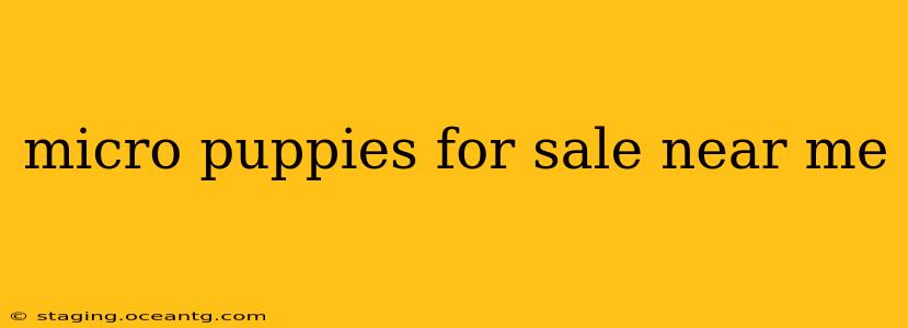 micro puppies for sale near me