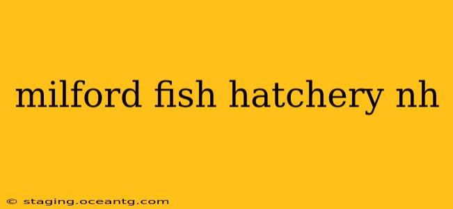 milford fish hatchery nh