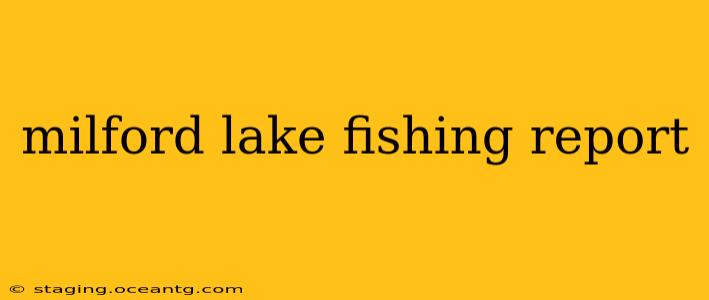 milford lake fishing report