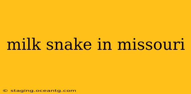 milk snake in missouri