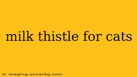 milk thistle for cats