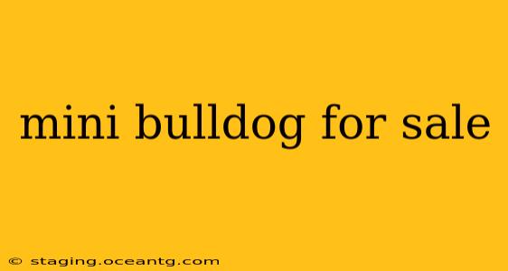 mini bulldog for sale