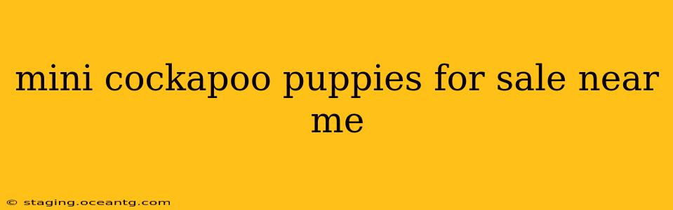 mini cockapoo puppies for sale near me
