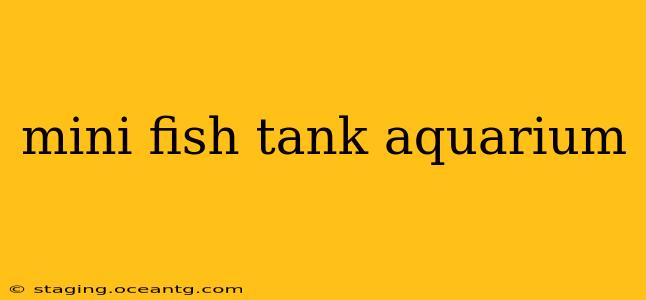 mini fish tank aquarium