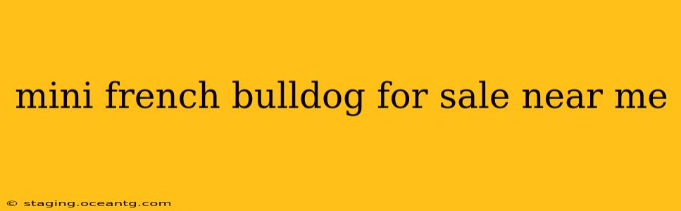mini french bulldog for sale near me