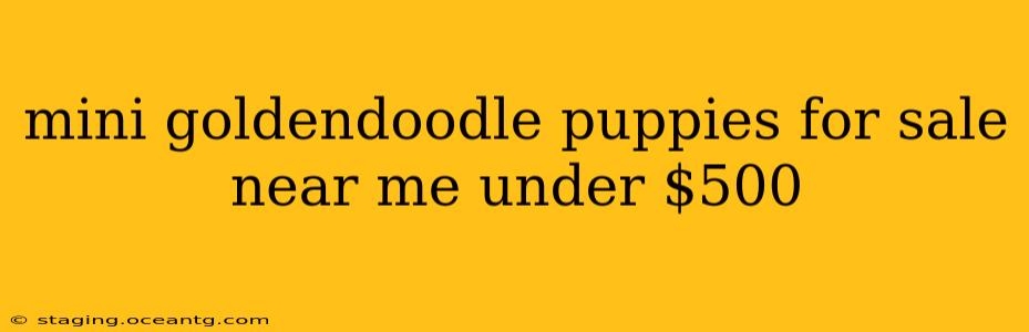 mini goldendoodle puppies for sale near me under $500