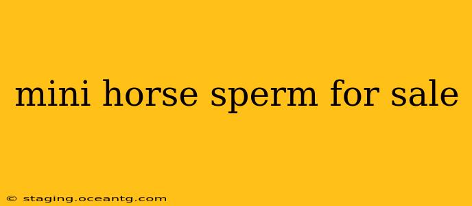 mini horse sperm for sale