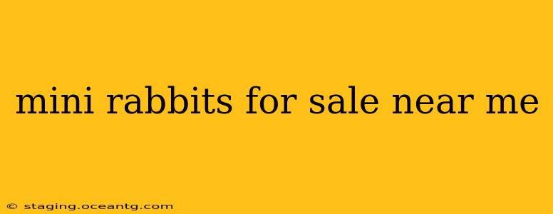 mini rabbits for sale near me