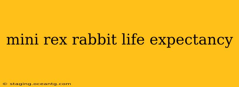 mini rex rabbit life expectancy