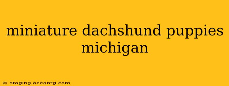 miniature dachshund puppies michigan