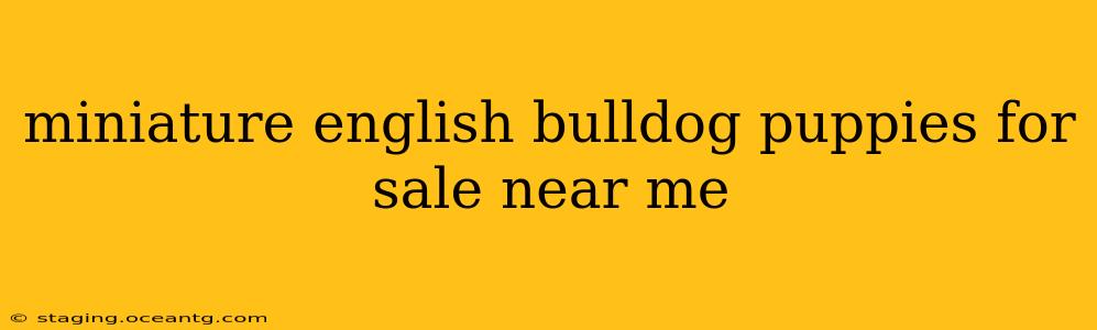 miniature english bulldog puppies for sale near me