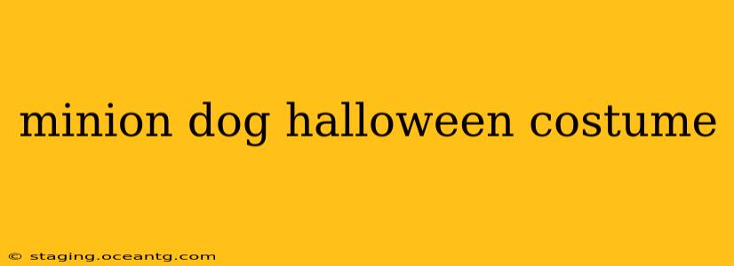 minion dog halloween costume