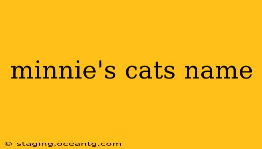 minnie's cats name