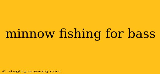 minnow fishing for bass