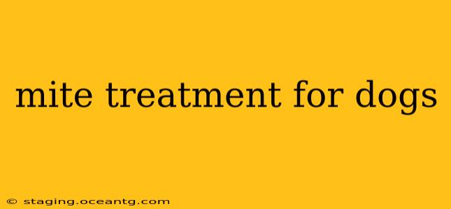 mite treatment for dogs