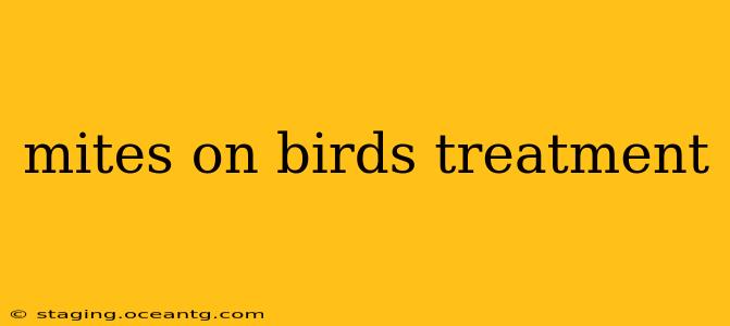 mites on birds treatment