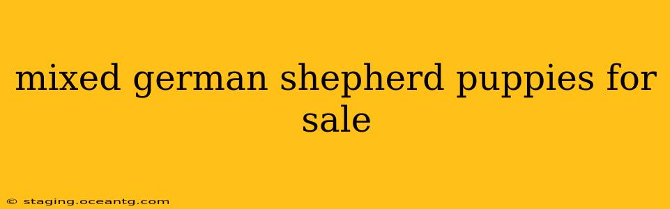 mixed german shepherd puppies for sale