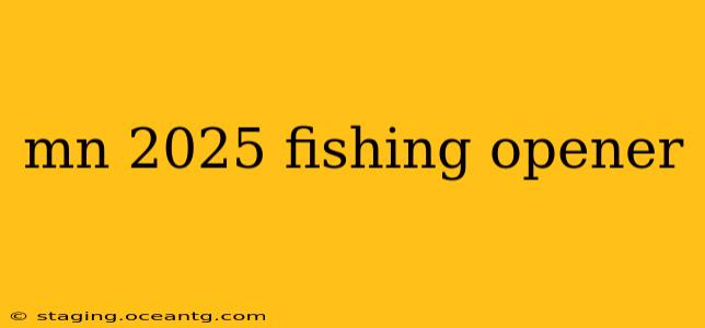 mn 2025 fishing opener