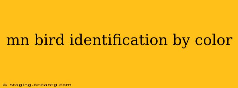 mn bird identification by color