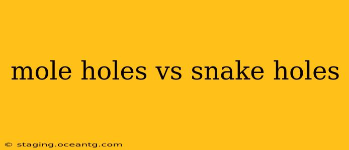 mole holes vs snake holes