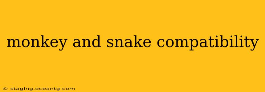 monkey and snake compatibility
