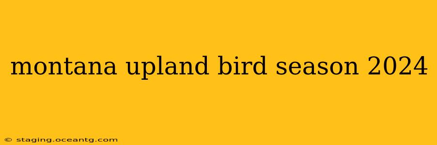 montana upland bird season 2024