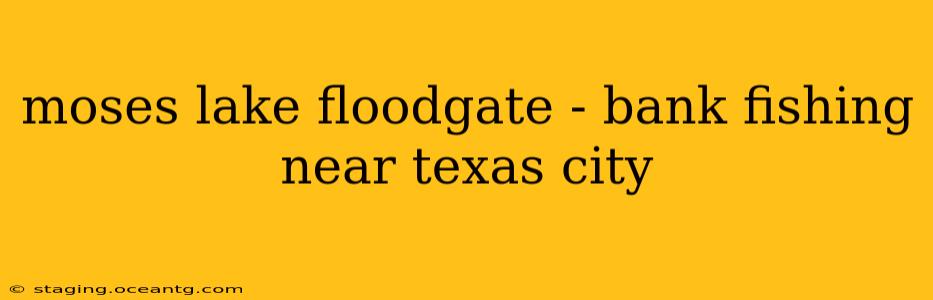 moses lake floodgate - bank fishing near texas city