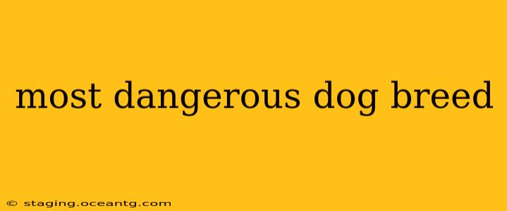 most dangerous dog breed
