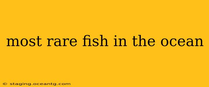 most rare fish in the ocean