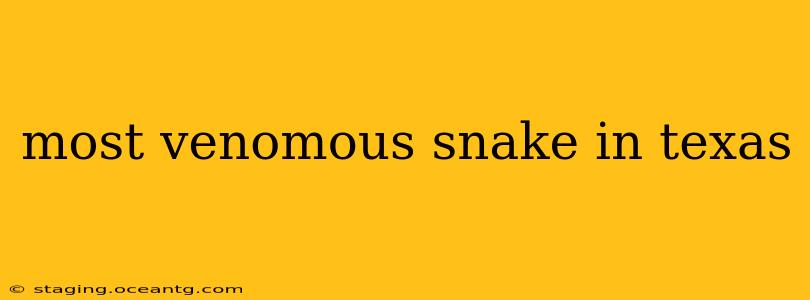 most venomous snake in texas