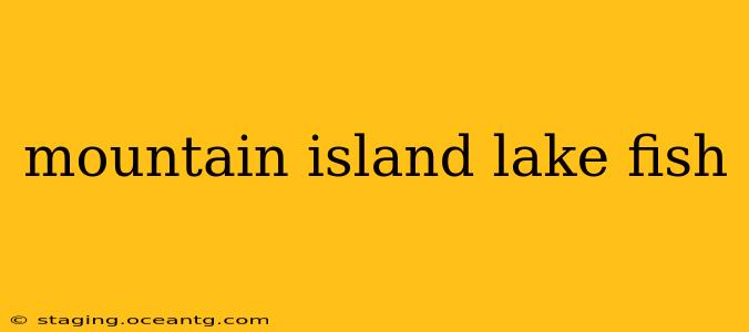 mountain island lake fish