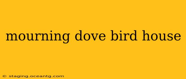 mourning dove bird house