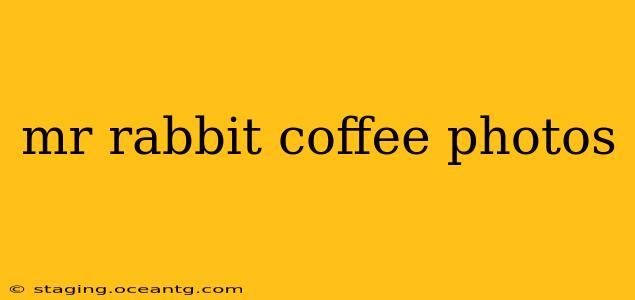 mr rabbit coffee photos