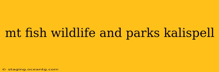 mt fish wildlife and parks kalispell