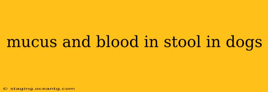 mucus and blood in stool in dogs