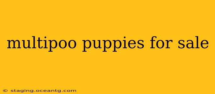 multipoo puppies for sale