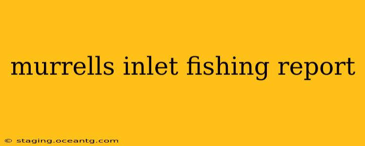 murrells inlet fishing report