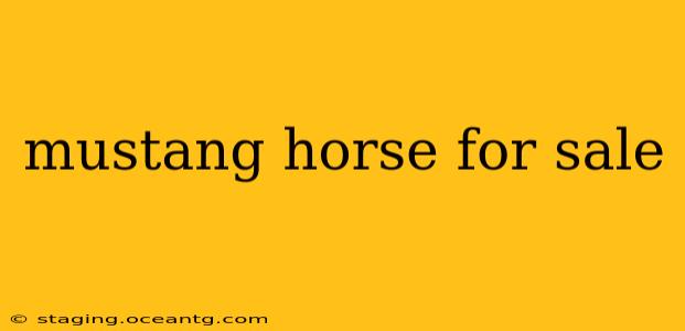 mustang horse for sale