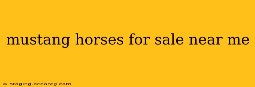 mustang horses for sale near me