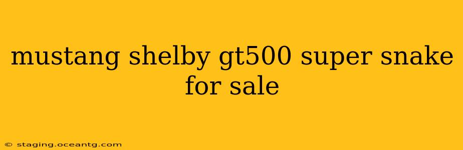 mustang shelby gt500 super snake for sale